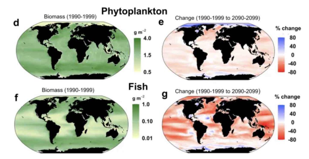 Achteruitgang van fytoplankton door opwarming