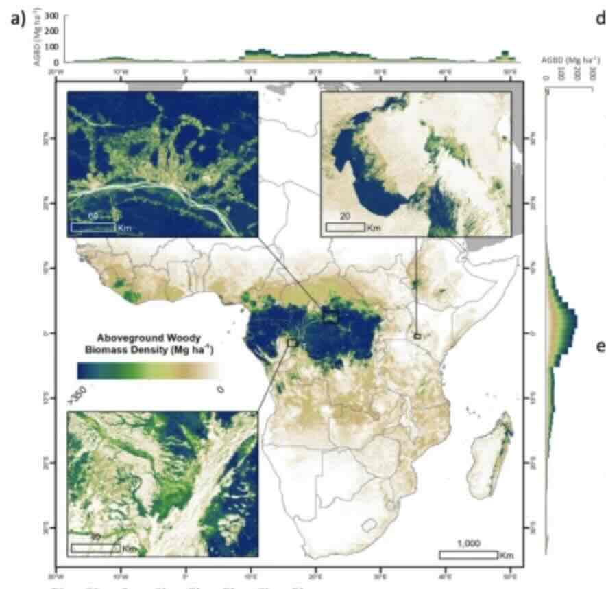 Afrikaanse bossen zijn van koolstofopnemers -uitstoters geworden