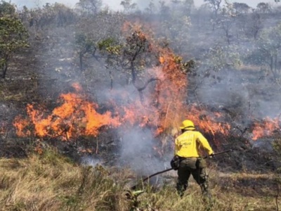 MapBiomas Fogo