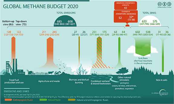 Methaanbudget 2020