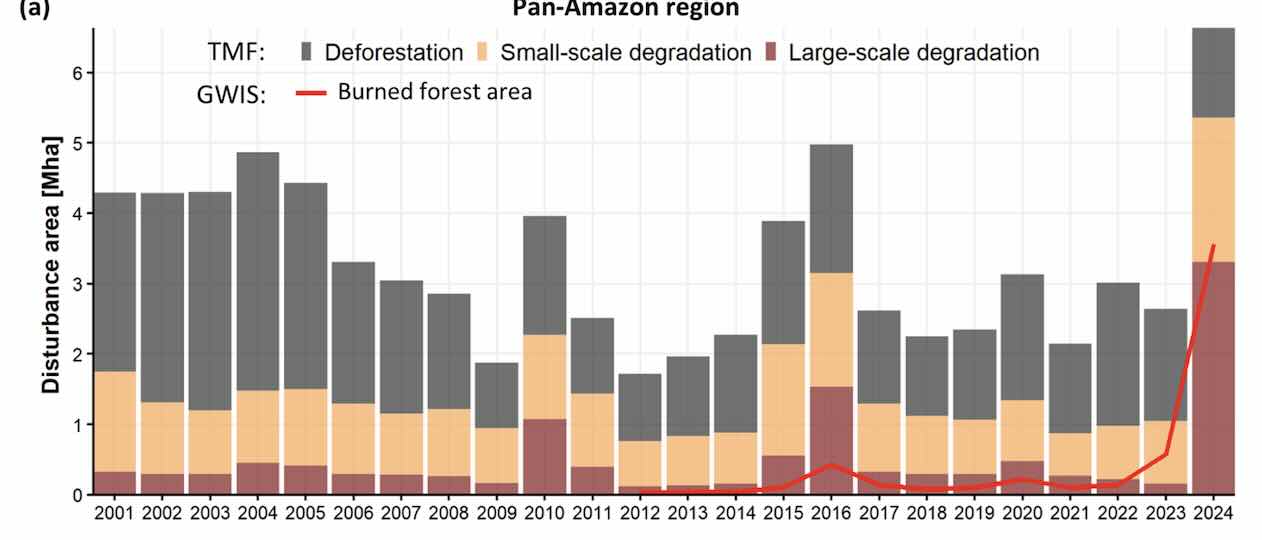 Ontbossing en bosdegradatie Amazonegebied