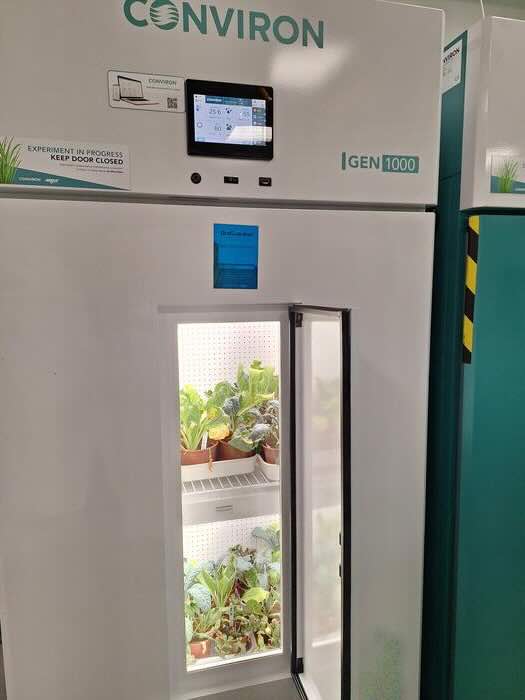 Planten in een klimaatkamer