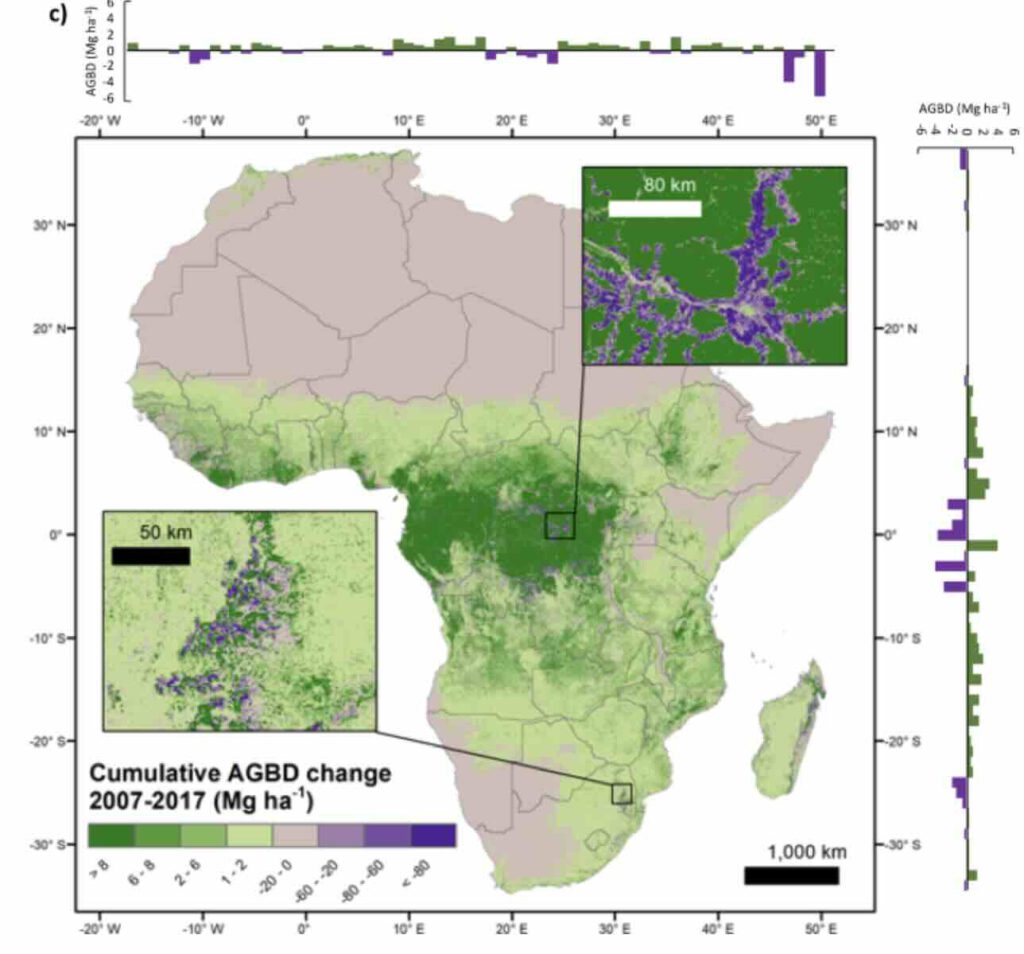 Biomassawinst & -verlies Afrikaanse wouden