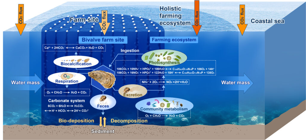 Oesterecosysteem